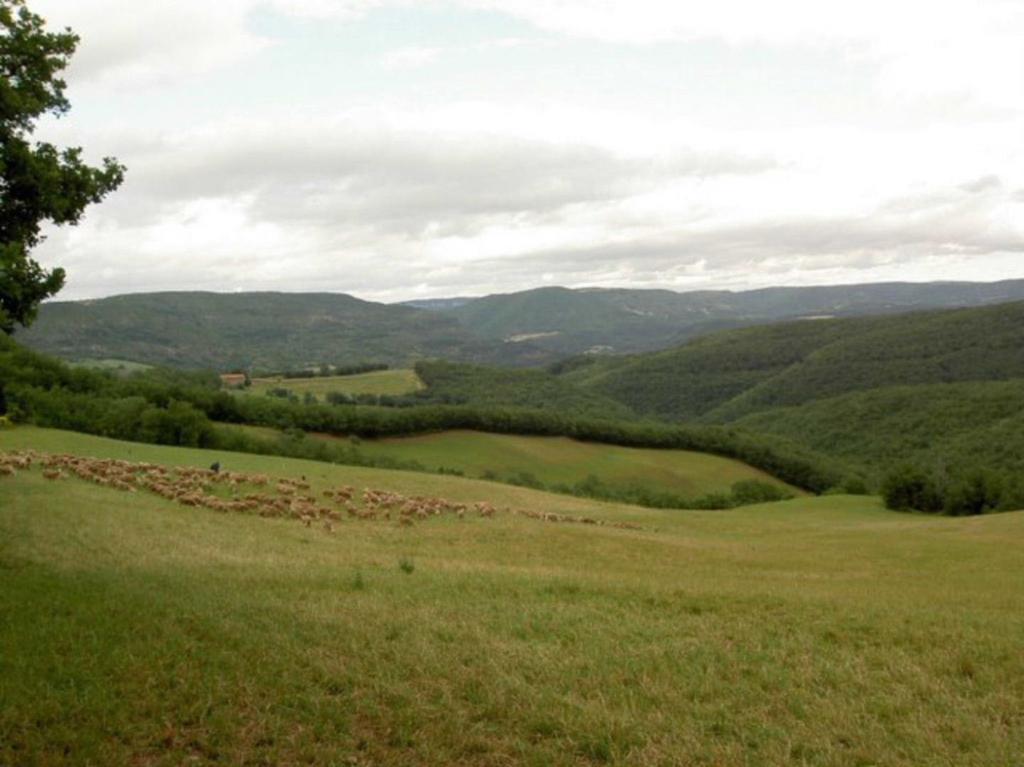 Willa Gite L'Oustal Occitan A Saint-Juery Zewnętrze zdjęcie